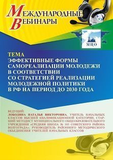 Международный вебинар «Эффективные формы самореализации молодежи в соответствии со Стратегией реализации молодежной политики в РФ на период до 2030 года»